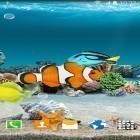 Download live wallpaper Coral fish for free and Glowing water for Android phones and tablets .