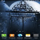 Download live wallpaper Dark night for free and Halloween: Happy witches for Android phones and tablets .
