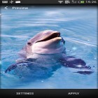 Download live wallpaper Dolphin for free and Sea by Live Wallpaper Free for Android phones and tablets .