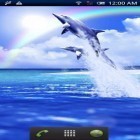 Download live wallpaper Dolphin blue for free and Doodle art for Android phones and tablets .