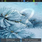 Download live wallpaper Draw on the frozen screen for free and Doodle art for Android phones and tablets .