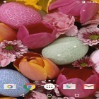 Download live wallpaper Easter eggs for free and Love for Android phones and tablets .