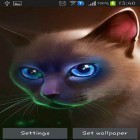 Download live wallpaper Egyptian cat for free and Girl and dandelion for Android phones and tablets .