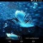 Download live wallpaper Feather: Bubble for free and Stalker cat for Android phones and tablets .