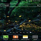 Download live wallpaper Fireflies by Top live wallpapers hq for free and Light for Android phones and tablets .