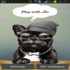 Download live wallpaper French bulldog for free and Light for Android phones and tablets .