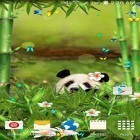 Download live wallpaper Funny panda for free and Mesh for Android phones and tablets .