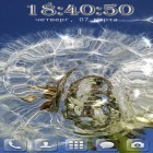 Download live wallpaper Galaxy dandelion 3.0 for free and Tigers by Live Wallpaper HD 3D for Android phones and tablets .