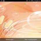 Download live wallpaper Glowing water for free and Cute profile for Android phones and tablets .