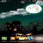 Download live wallpaper Halloween by Blackbird wallpapers for free and Stalker cat for Android phones and tablets .