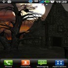 Download live wallpaper Halloween by Wizeapps ug for free and Fantasy swamp for Android phones and tablets .