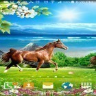 Download live wallpaper Horses by Villehugh for free and Red rose by DynamicArt Creator for Android phones and tablets .