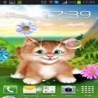 Download live wallpaper Kitten for free and Halloween evening 3D for Android phones and tablets .