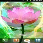 Download live wallpaper Lotus by Venkateshwara apps for free and Monkey and banana for Android phones and tablets .