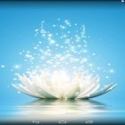 Download live wallpaper Magic water lilies for free and Mesh for Android phones and tablets .