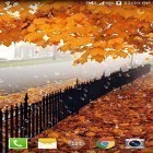 Download live wallpaper Maple: Droplets for free and Plasma orb for Android phones and tablets .