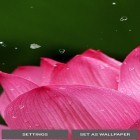 Download live wallpaper Nature by Top Live Wallpapers for free and Glowing water for Android phones and tablets .