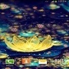 Download live wallpaper Neon flowers 2 for free and Cute profile for Android phones and tablets .
