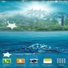 Download live wallpaper Ocean by Maxi Live Wallpapers for free and Dinosaur by Niceforapps for Android phones and tablets .