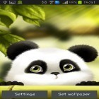 Download live wallpaper Panda for free and Doll for Android phones and tablets .