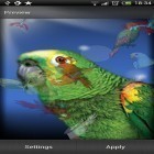 Download live wallpaper Parrot for free and Best clock 3D for Android phones and tablets .