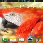 Download live wallpaper Parrot by TTR for free and Fireflies by Jango LWP Studio for Android phones and tablets .