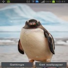 Download live wallpaper Penguin for free and Digital clock for Android phones and tablets .