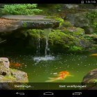 Download live wallpaper Pond with Koi for free and Cute profile for Android phones and tablets .