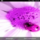 Download live wallpaper Pretty pink for free and Analog clock 3D for Android phones and tablets .