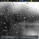 Download live wallpaper Raindrops for free and Dolphin by Live wallpaper HD for Android phones and tablets .
