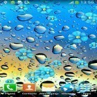 Download live wallpaper Rainy day by Live wallpapers free for free and Red rose by DynamicArt Creator for Android phones and tablets .