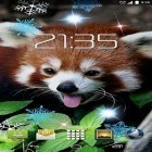 Download live wallpaper Red panda for free and Digital clock for Android phones and tablets .