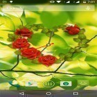 Download live wallpaper Rose clock for free and Valentines Day by orchid for Android phones and tablets .