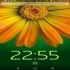 Download live wallpaper Rotating flower for free and Dolphins sounds for Android phones and tablets .