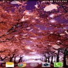 Download live wallpaper Sakura 3D for free and Fairy horse for Android phones and tablets .