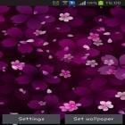 Download live wallpaper Sakura falling for free and Colorful ball for Android phones and tablets .