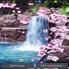 Download live wallpaper Sakura: Waterfall for free and Autumn little owl for Android phones and tablets .