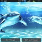 Download live wallpaper Sea dolphin for free and Girl and dandelion for Android phones and tablets .
