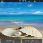 Download live wallpaper Seashells for free and Mesh for Android phones and tablets .