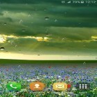 Download live wallpaper Spring rain by Locos apps for free and Dolphins sounds for Android phones and tablets .