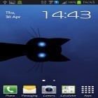 Download live wallpaper Stalker cat for free and Colorful ball for Android phones and tablets .