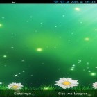Download live wallpaper Summer Flowers by Dynamic Live Wallpapers for free and Car and model for Android phones and tablets .