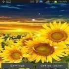 Download live wallpaper Sunflower by Creative factory wallpapers for free and Fireflies by Jango LWP Studio for Android phones and tablets .