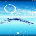 Download live wallpaper Water bubble for free and Fantasy swamp for Android phones and tablets .