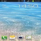 Download live wallpaper Waves beach for free and Bamboo house 3D for Android phones and tablets .