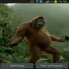 Download live wallpaper Wild dance crazy monkey for free and Fireflies by Jango LWP Studio for Android phones and tablets .