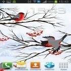 Download live wallpaper Winter: Bullfinch for free and Letter for Android phones and tablets .