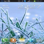 Download live wallpaper Winter grass for free and Halloween: Happy witches for Android phones and tablets .