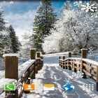 Download live wallpaper Winter landscapes for free and Swans by JimmyTummy for Android phones and tablets .