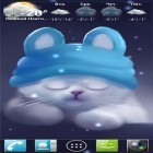 Download live wallpaper Yang the cat for free and Micro city for Android phones and tablets .